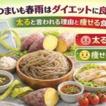 さつまいも春雨はダイエットに良くない？太ると言われる理由と痩せる食べ方を徹底解説