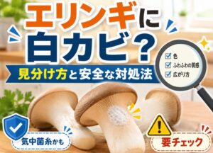 エリンギに白カビが生えた時の見分け方と安全な対処法