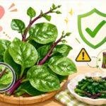つるむらさきに毒性はある？安全な食べ方と注意点を徹底解説