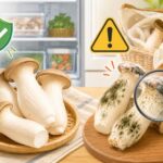 エリンギにカビが生えた？見分け方と正しい保存方法で食中毒を防ぐ