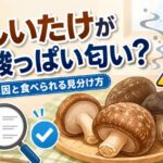 しいたけが酸っぱい匂いがする原因は？食べられるかの見分け方も解説
