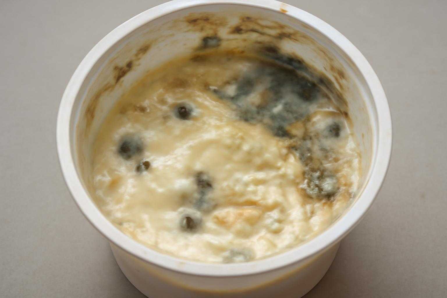カビや変色など腐敗したヨーグルトの危険な状態