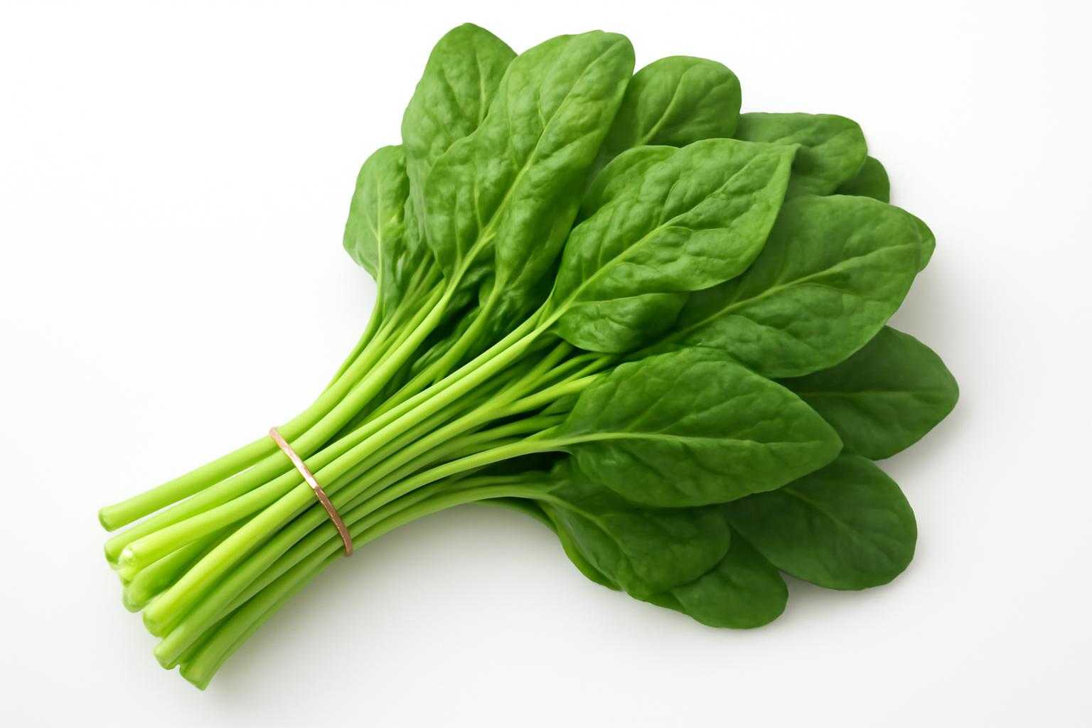 つるむらさきの緑の葉と茎を束ねた新鮮な野菜の写真