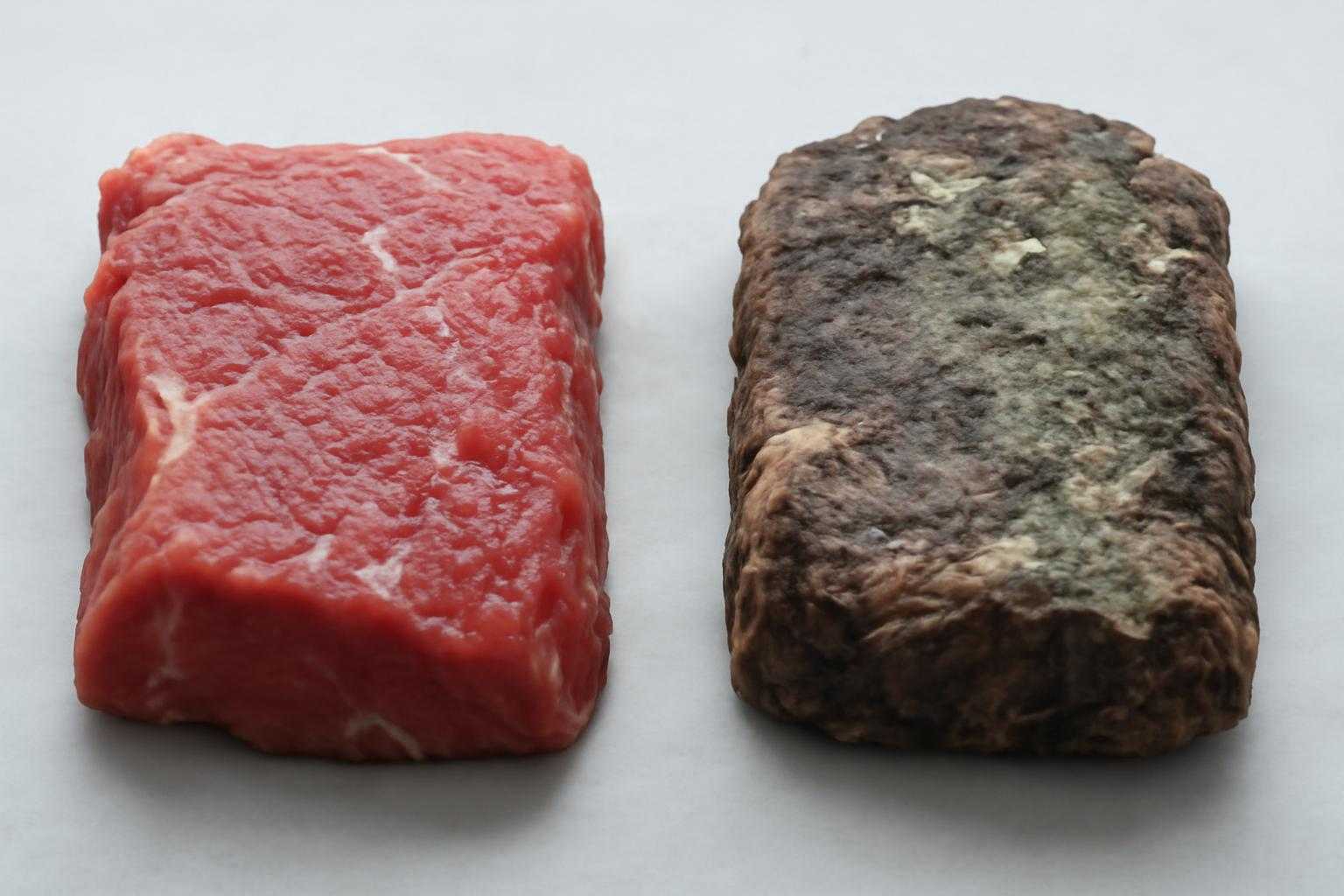 新鮮な牛肉と腐敗の進行段階を表現した比較画像