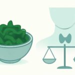 わかめの食べすぎは甲状腺に影響する？知っておきたい適量と注意点をわかりやすく解説