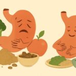 食物繊維の摂りすぎで便秘が悪化？知らずにやりがちな原因とすっきり改善する食べ方のコツ