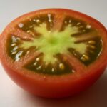 トマトの中が緑でも食べられる？大丈夫な場合と注意したい見分け方を解説