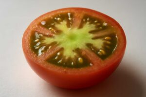 トマトの中が緑でも食べられる?大丈夫な場合と注意したい見分け方を解説