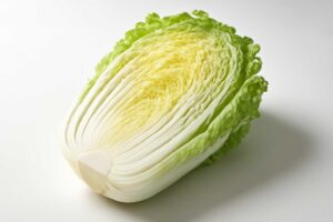白菜が酸っぱい時は食べられる?原因と安全な見分け方
