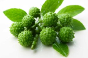 山椒を食べ過ぎると覚醒する？しびれの正体と体への影響をわかりやすく解説